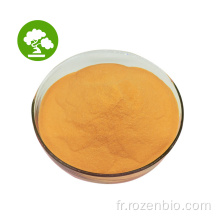 Coenzyme de haute qualité Q10 Powder Q10 Coenzyme